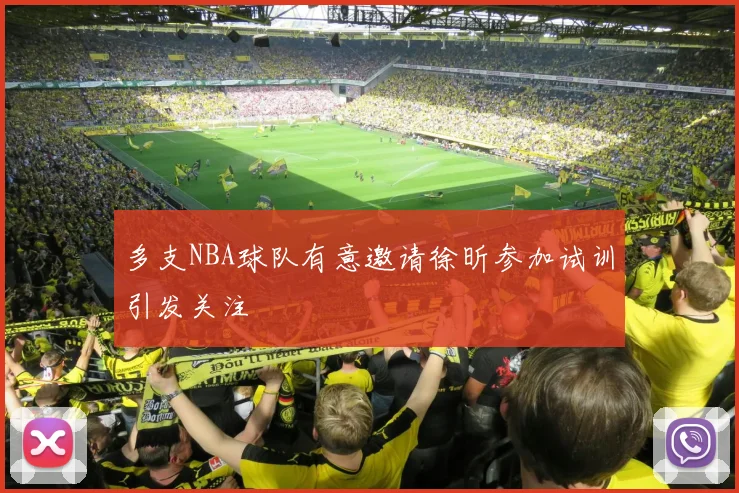 多支NBA球队有意邀请徐昕参加试训引发关注