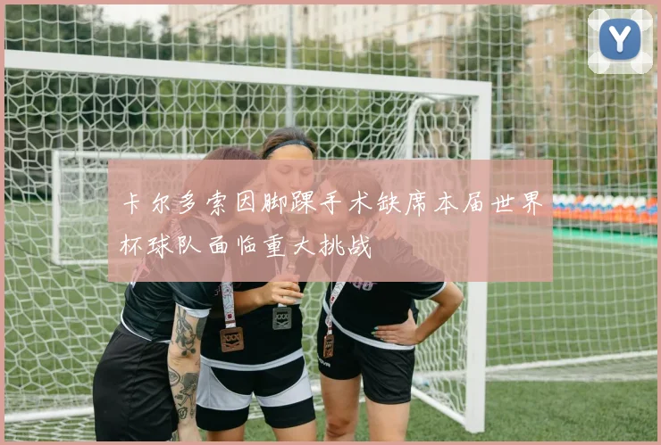 卡尔多索因脚踝手术缺席本届世界杯球队面临重大挑战